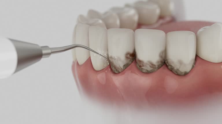 Reliable Dental contractor in West Monroe, MI by Dentist Open Now